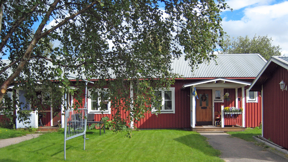 Envåningshus med röd träfasad. Grön gräsmatta och björkar framför huset.