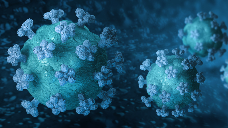Corona viruses close-up macro 3D rendering inside an organ blood vessel