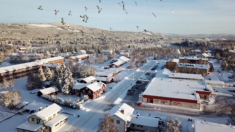 Drönarbild över Hede centrum med fåglar som flyger i luften.